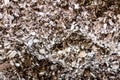 Sawdust and compost compost in the Compost Barn system. Cattle confinement ensured higher productivity and milk quality Royalty Free Stock Photo