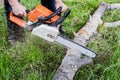 Cutting tree with a chainsaw Royalty Free Stock Photo