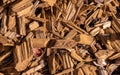 Wood texture chips material pattern chip timber nature abstract textured bark shredded industry lumber detail gardening mulch log