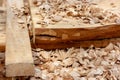 Sawdust and light wood shavings close-up in the carpentry workshop after sawn timber processing Royalty Free Stock Photo
