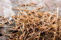 Sawdust on olds wood background