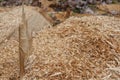 Sawdust shavings pile