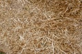 Sawdust shavings pile Royalty Free Stock Photo