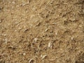 Sawdust texture background. Royalty Free Stock Photo