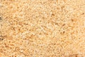 Sawdust texture from wood work copy space