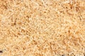 Sawdust texture from wood work copy space