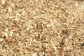 Sawdust wood Royalty Free Stock Photo