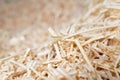 Sawdust or wood dust texture background, Sawdust close up Royalty Free Stock Photo