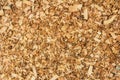 Sawdust or wood dust texture background. Wood sawdust background closeup. Sawdust floor texture. Top view. Saw dust texture, close Royalty Free Stock Photo