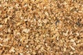 Sawdust or wood dust texture background. Wood sawdust background closeup. Sawdust floor texture. Top view. Saw dust texture, close Royalty Free Stock Photo