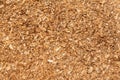 Sawdust or wood dust texture background. Wood sawdust background closeup. Sawdust floor texture. Top view. Saw dust texture, close Royalty Free Stock Photo