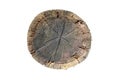Sawed Wood Log Top View Texture Isolated