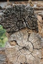 Sawed wooden logs of village house, cracked wood background