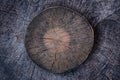 Sawed wooden stumps texture