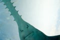 Sawfish in Aquarium Royalty Free Stock Photo