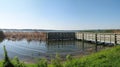Sawgrass lake panorama Royalty Free Stock Photo