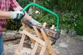 Sawing firewood manually with a hacksaw on a wooden sawhorse Royalty Free Stock Photo