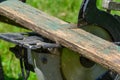 Sawing old boards with a circular saw. The process of sawing wood for processing. close the circular saw for cutting wood Royalty Free Stock Photo