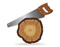 Sawing the trunk of a tree. Wood Cut, Cross Section of Tree or Stump