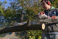 Sawing wood. A man is working with a chainsaw. Royalty Free Stock Photo