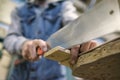 Sawing a wooden board with special japanese hand saw or hacksaw during carpentry