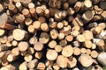 Sawlogs Royalty Free Stock Photo