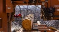 Sawmill Cutting Log Royalty Free Stock Photo