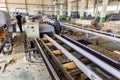 Sawmill. process of cutting logs into boards. Automatic line sawing