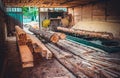 Sawmill. Process of machining logs in sawmill machine saws the tree trunk