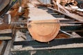 Sawmill. Process of machining logs in sawmill machine saws the tree trunk Royalty Free Stock Photo
