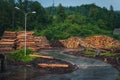 Sawmill. Process of woodworking plant. Consequences of the riot of the elements, hurricane. Rows of stacked logs. Outdoor Slowenia