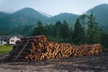 Sawmill. Process of woodworking plant. Consequences of the riot of the elements, hurricane. Rows of stacked logs. Outdoor Slowenia