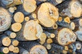 Sawn birch logs at the sawmill Royalty Free Stock Photo