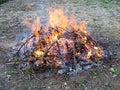 Sawn branches are burning at garden in spring