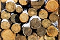 Sawn logs for firewood. A stack of logs. Sectional trees are tree rings. Natural background Royalty Free Stock Photo