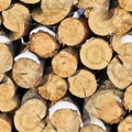 Sawn logs for firewood. A stack of logs. Sectional trees are tree rings. Natural background, wood texture