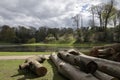 Large sawn logs by lake