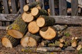 Sawn logs of trees and tree bark. Big pile of firewood. Deforestation, forest clearing, in the backyard and forest. Royalty Free Stock Photo