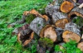 Wooden logs piled in a heap. Sawed tree trunk. Firewood preparation