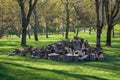 The sawn wood lies in a heap. A stack of dry sawn logs. Large pile of sawn tree trunks cut into pieces for firewood