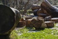 Sawn wood logs lie on the green grass in summer. A sunny summer day. the concept is the destruction of forests, harvesting Royalty Free Stock Photo