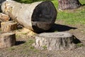 Sawn wood logs lie on the green grass in summer. A sunny summer day. the concept is the destruction of forests Royalty Free Stock Photo