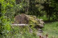 Sawn wood logs lie on the green grass in summer. A sunny summer day. the concept is the destruction of forests Royalty Free Stock Photo