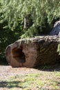 Sawn wood logs lie on the green grass in summer. A sunny summer day. the concept is the destruction of forests Royalty Free Stock Photo