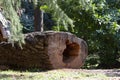 Sawn wood logs lie on the green grass in summer. A sunny summer day. the concept is the destruction of forests Royalty Free Stock Photo