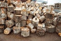 sawn wood in logs in the warehouse Royalty Free Stock Photo