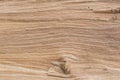 Sawn wood texture as background Royalty Free Stock Photo