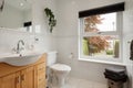 Bright washroom wc within modernised victorian home Royalty Free Stock Photo