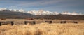 Sawtooth Mountains Fenced Range Land