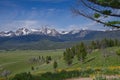 Sawtooth Mountains and Wildflowers 2023